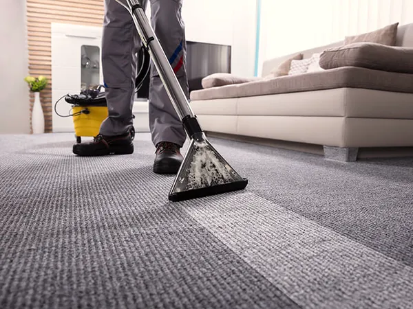 Carpet cleaning wand leaving a clean stripe across gray carpet next to a sofa