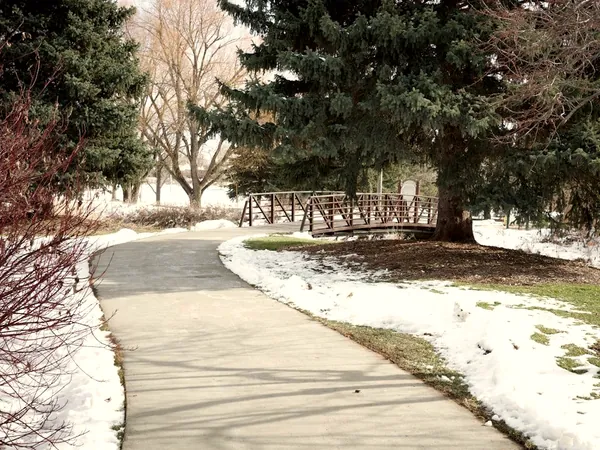 Paved walkway cleared after a snowfall, with snow along both sides