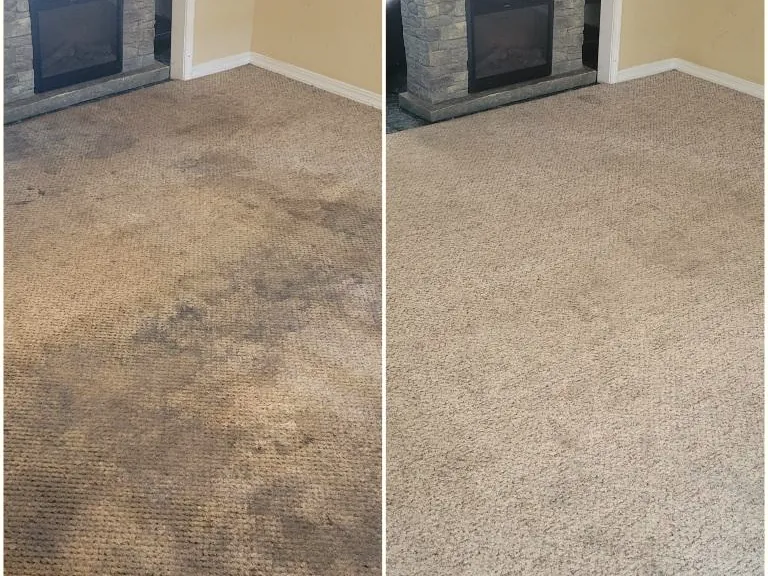 A carpet traffic lane in front of a fireplace, before and after cleaning