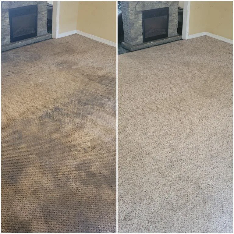 Before and after carpet cleaning of a stained traffic lane in a Cleveland home